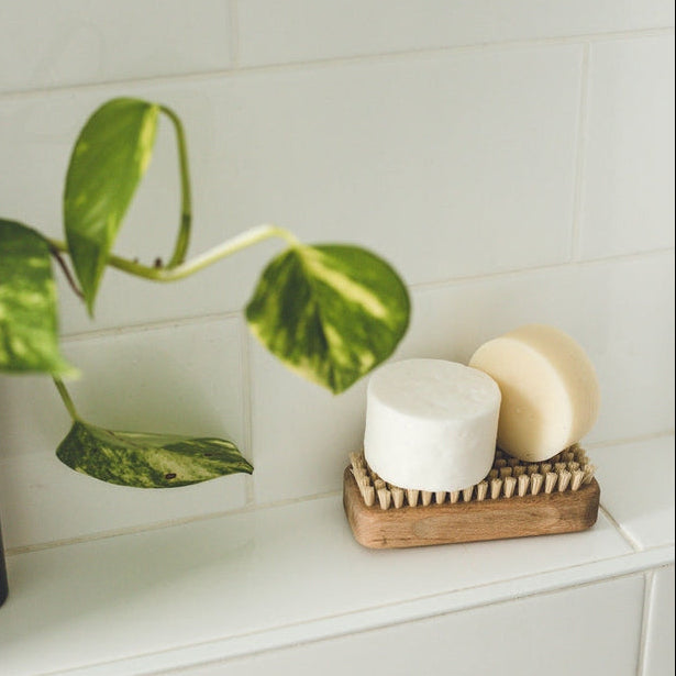 Scent Free Sample Pack - Oat and Chamomile Extract