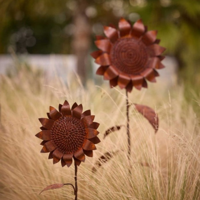 Two Rust-Coloured Metal Sunflower Garden Stakes in a Field Setting.