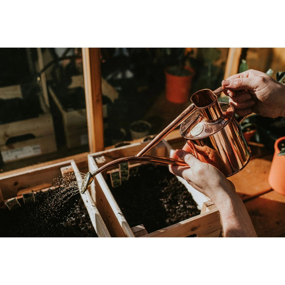 The Rowley Ripple 1L Watering Can in Copper, from Haws