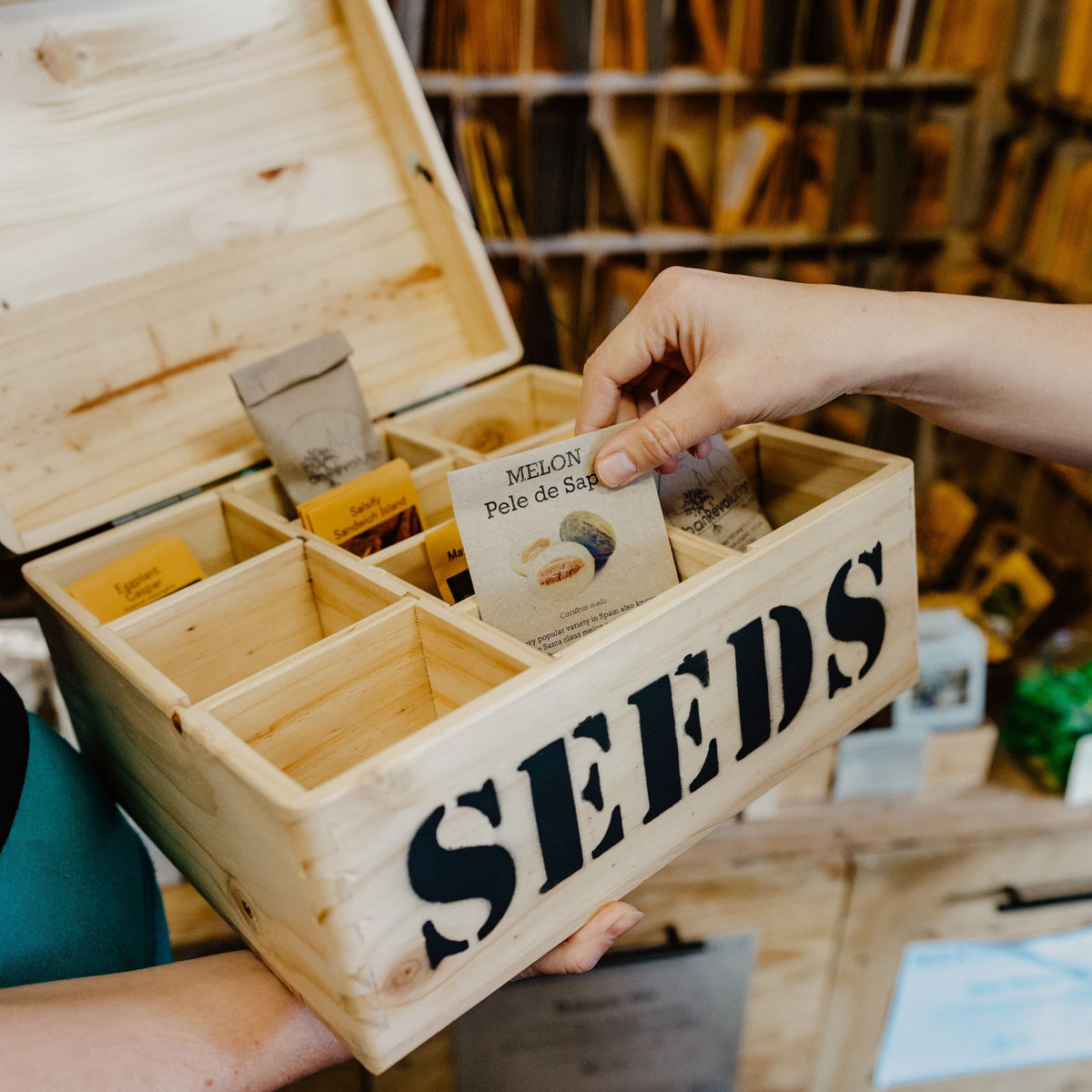 Timber Seed Storage Box with Resizable Compartments