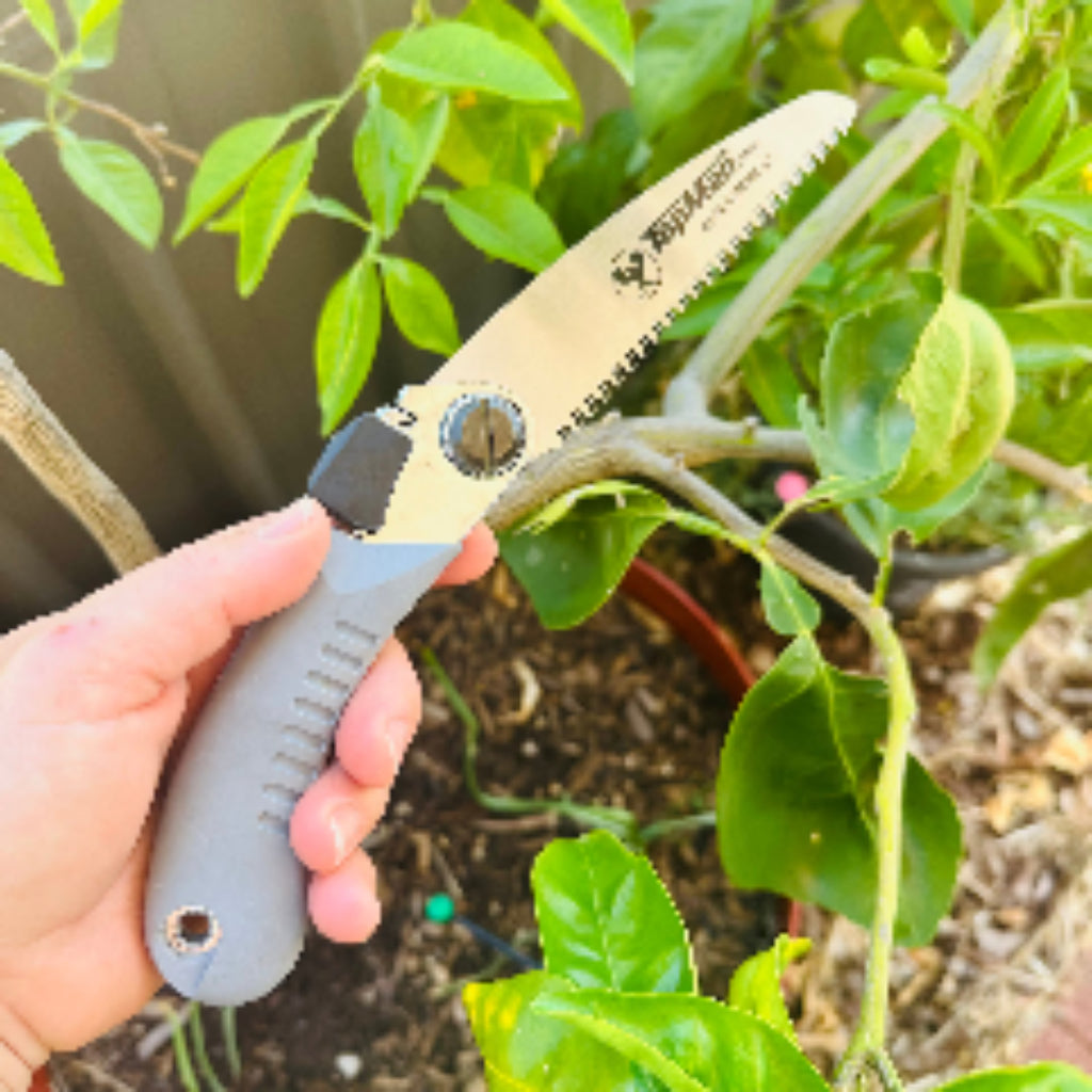 Hand holding TopMan Folding Pocket Saw in Garden.