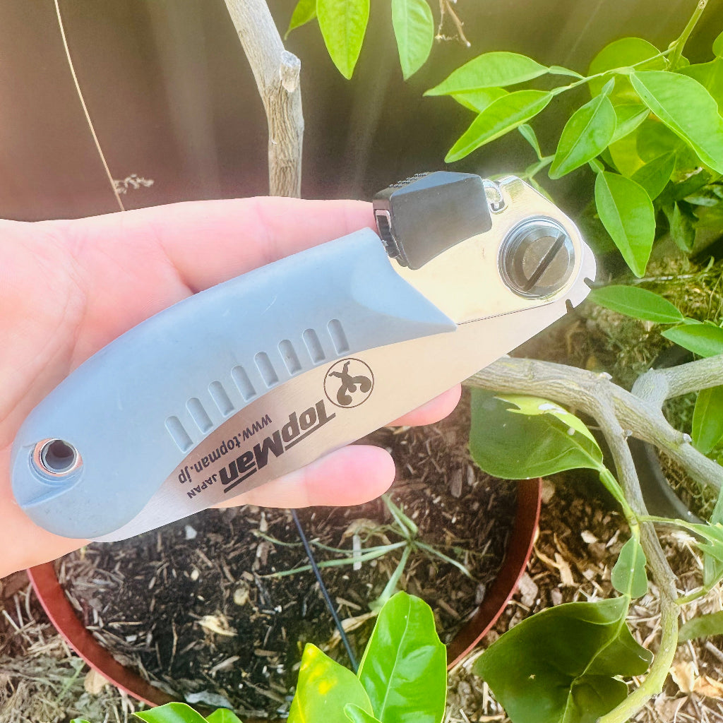 Hand holding TopMan Folding Pocket Saw in Garden.