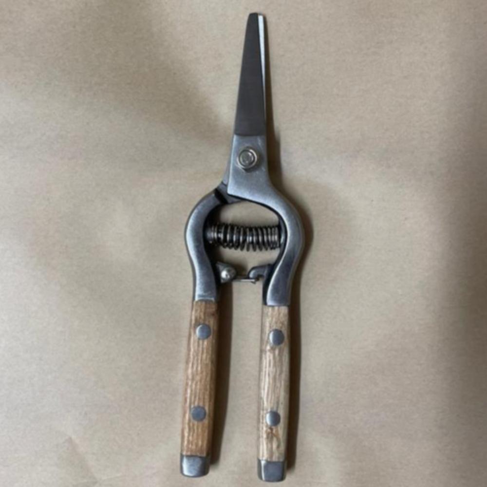 Ashwood Traditional Garden Flower Snips with Stainless Steel Blades and Ash Wood Handles.