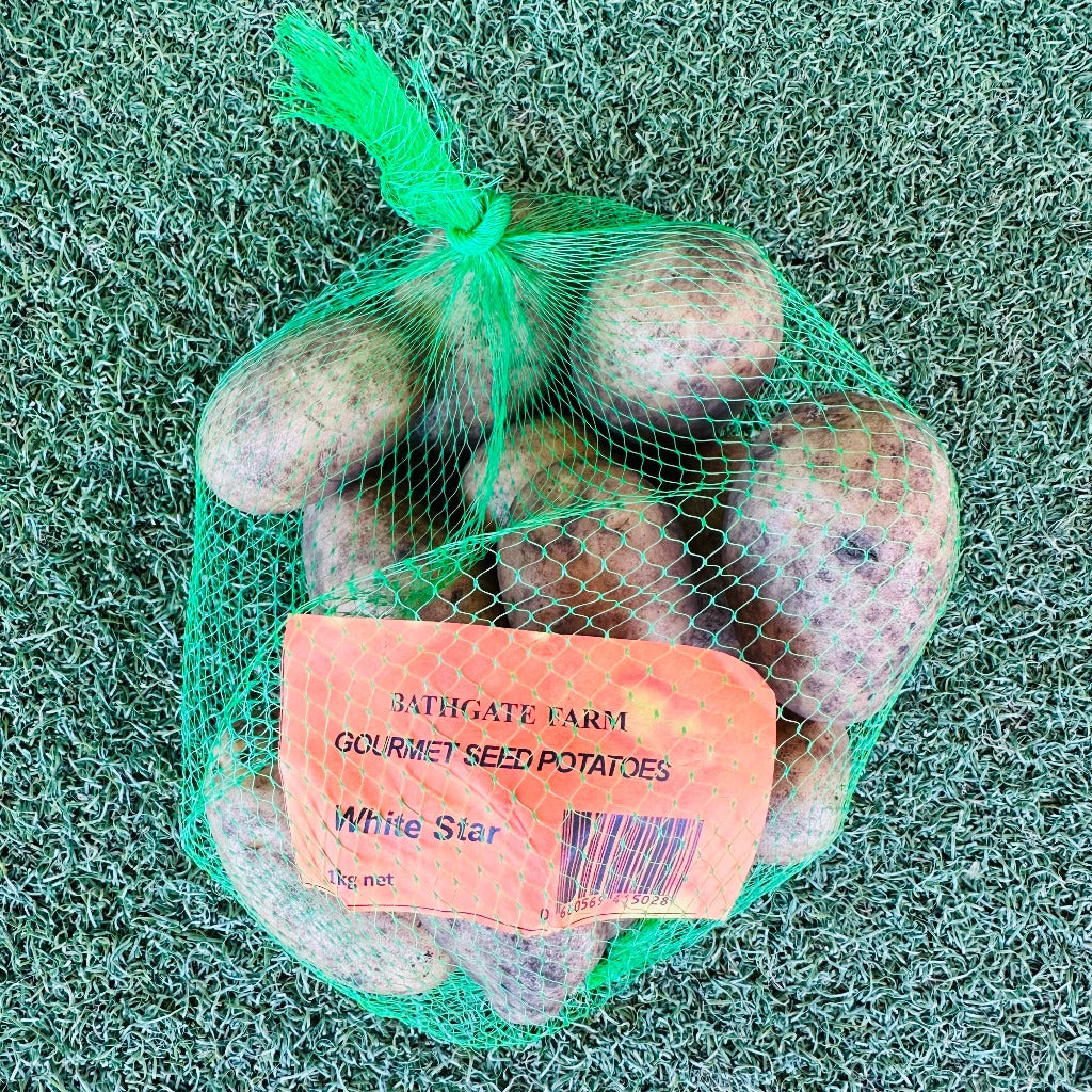 White Star Gourmet Seed Potatoes from Bathgate Farm, Western Australia