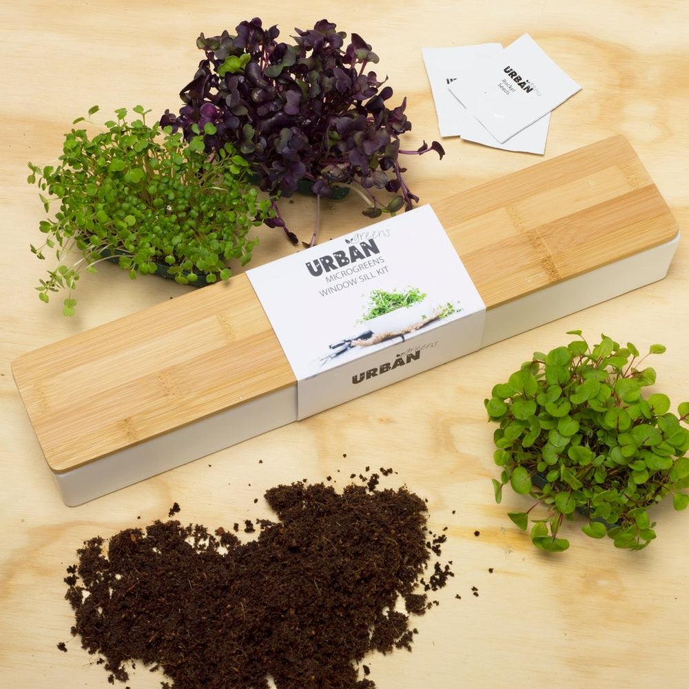 Micro Herbs Window Sill Grow Kit, from Urban Greens