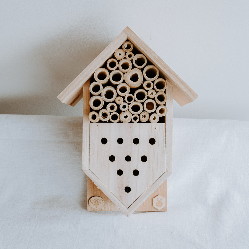 Wooden bee house with circular holes on a white background