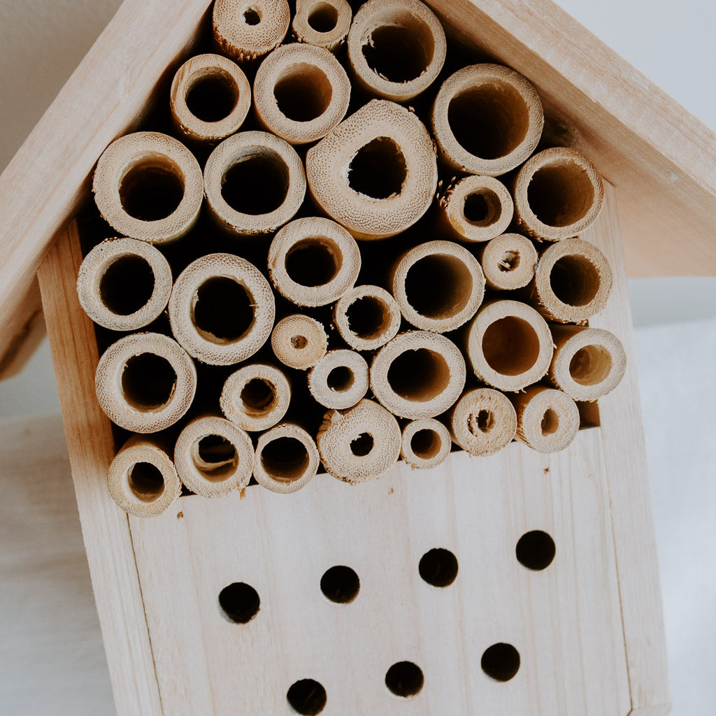 Wooden (Bamboo and Pine Wood) Insect and Bee Hotel