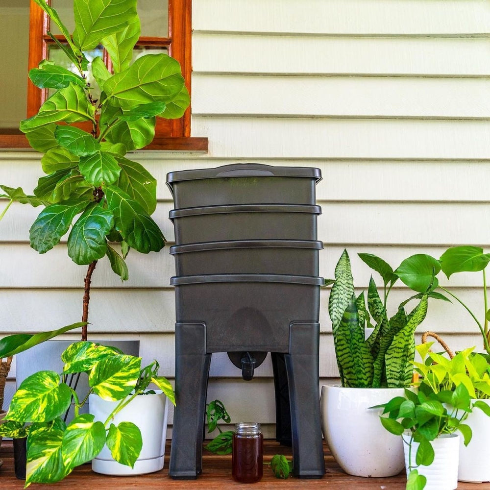 Worm cafe with plants on veranda