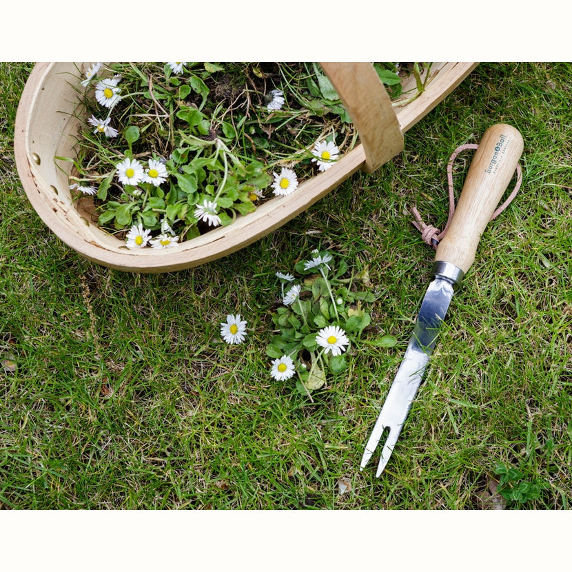 Stainless Steel Daisy Weeder, from Burgon & Ball