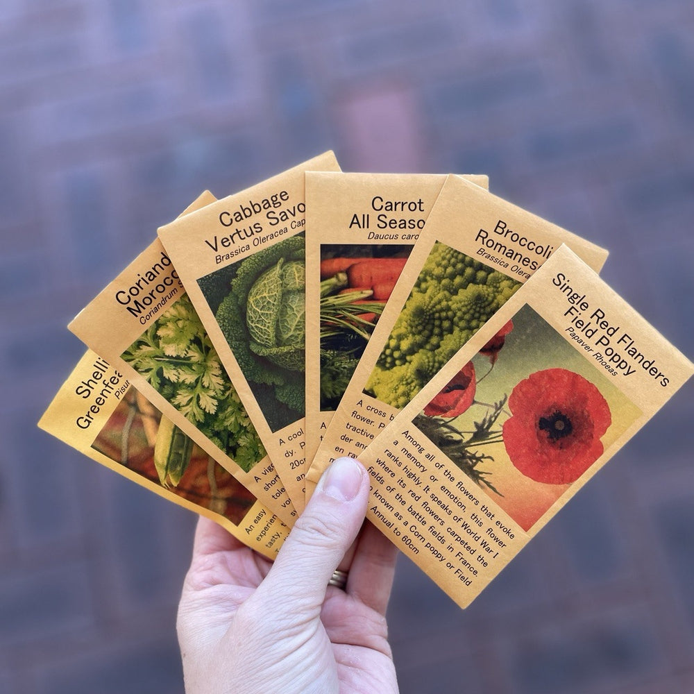 seasonal seed packs