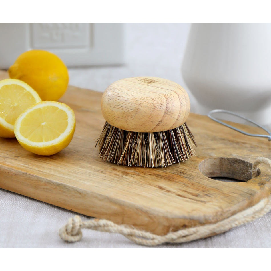 Eco Max Scrub It Brush