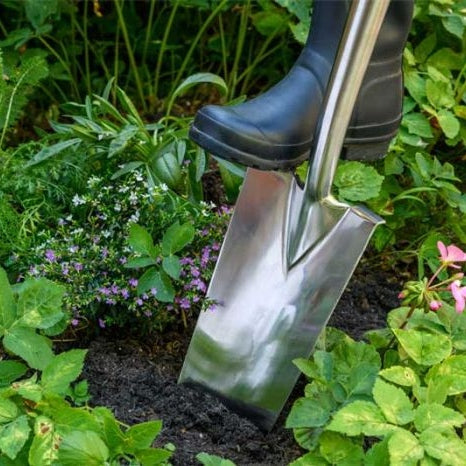 Stainless Steel Transplanting Spade by Burgon & Ball - Large Item