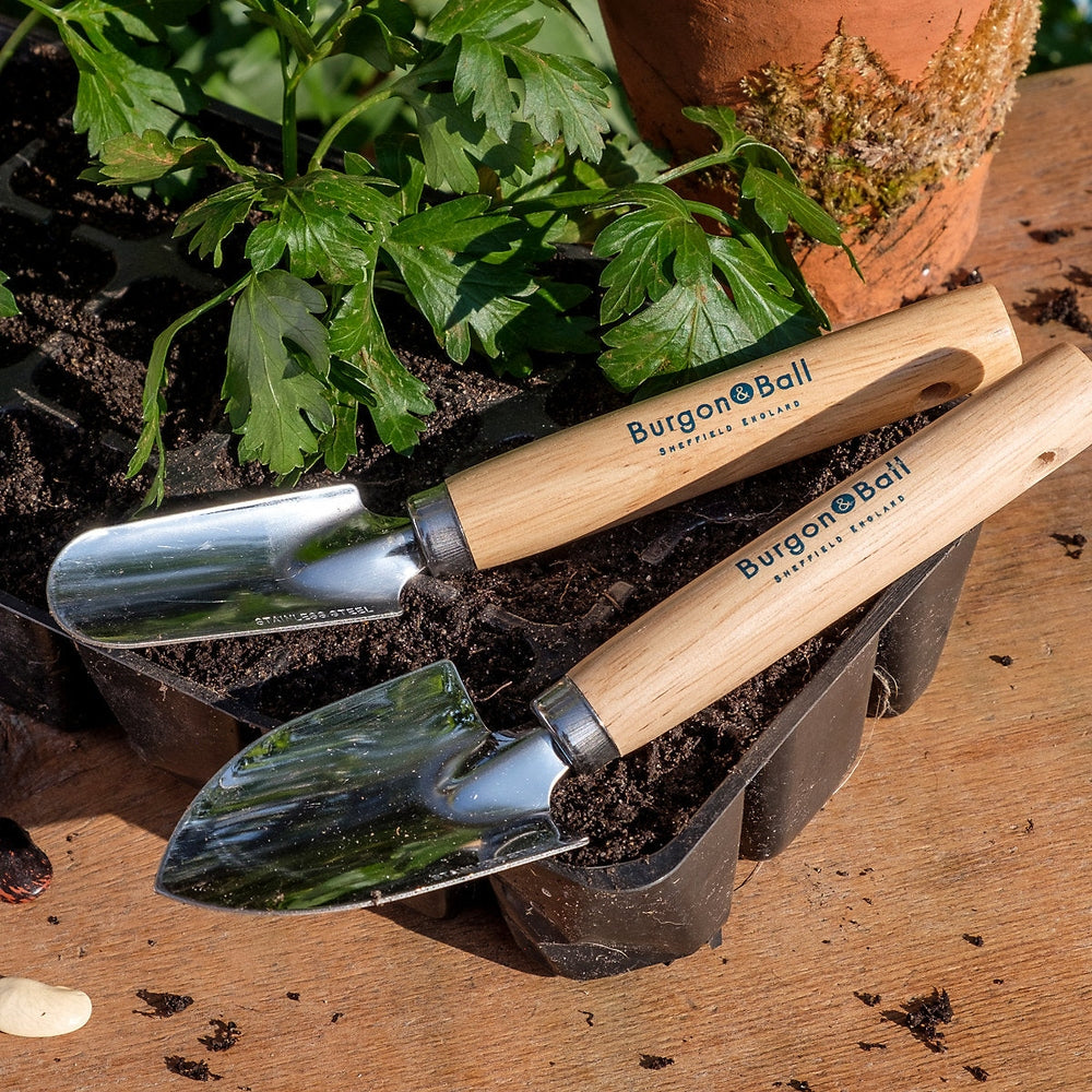 Cell Tray Trowels by Burgon & Ball