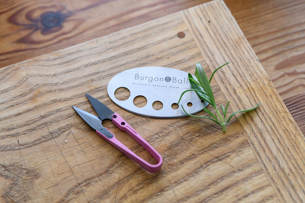 RHS Herb Snip and Herb Stripper Set - Asteraceae