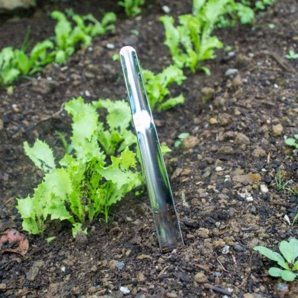 The Seedling Widger, from Burgon & Ball