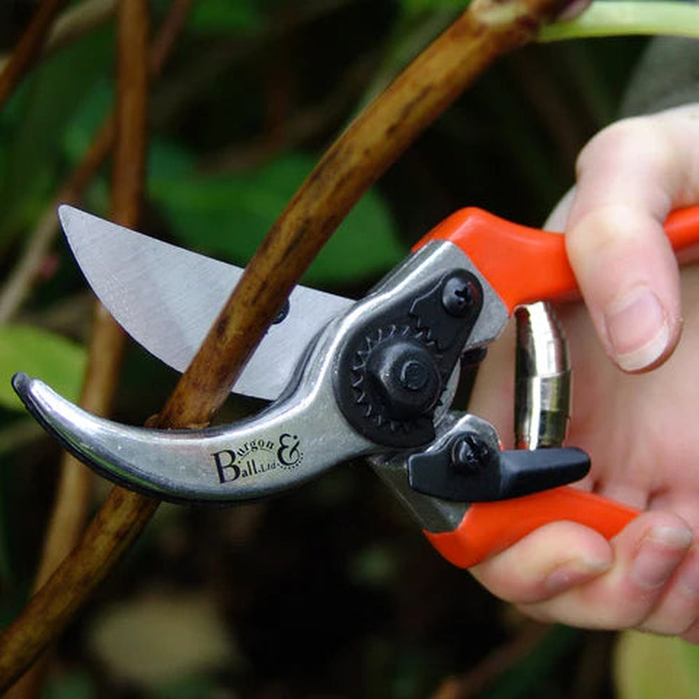 Burgon and Ball Bypass secateurs cutting a branch