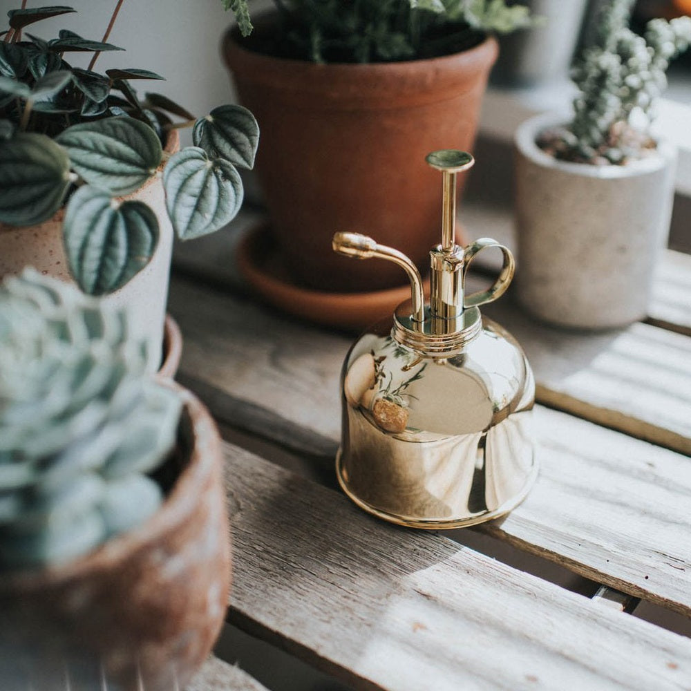 The Smethwick Spritzer - Brass Mist Sprayer