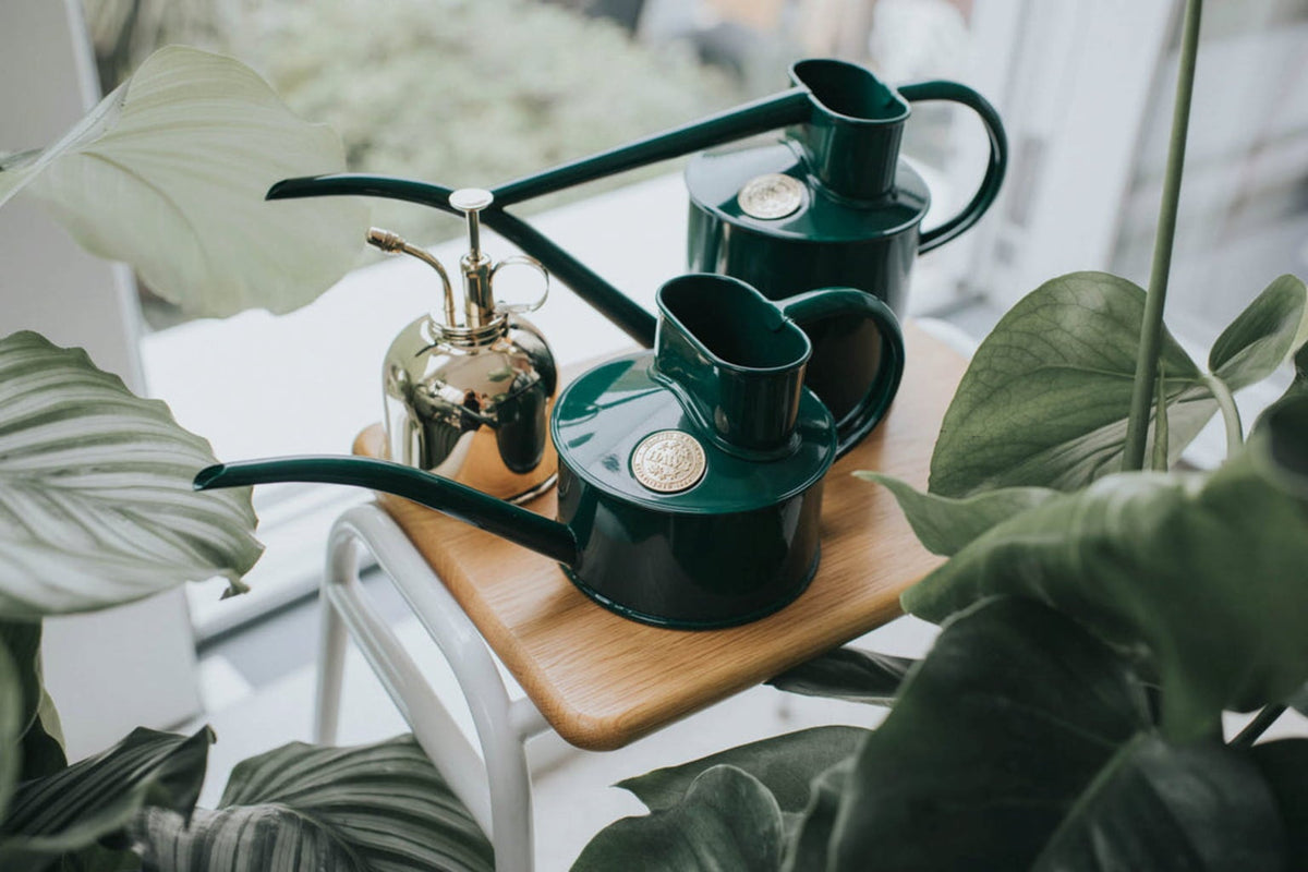 Classic Watering Set by Haws, in Green & Brass