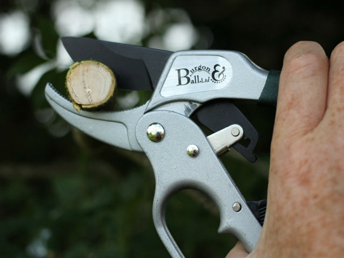Ratchet Pruner by Burgon & Ball