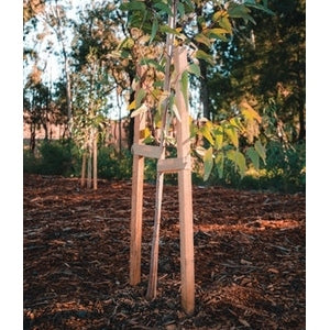 Eco Wooden Stake