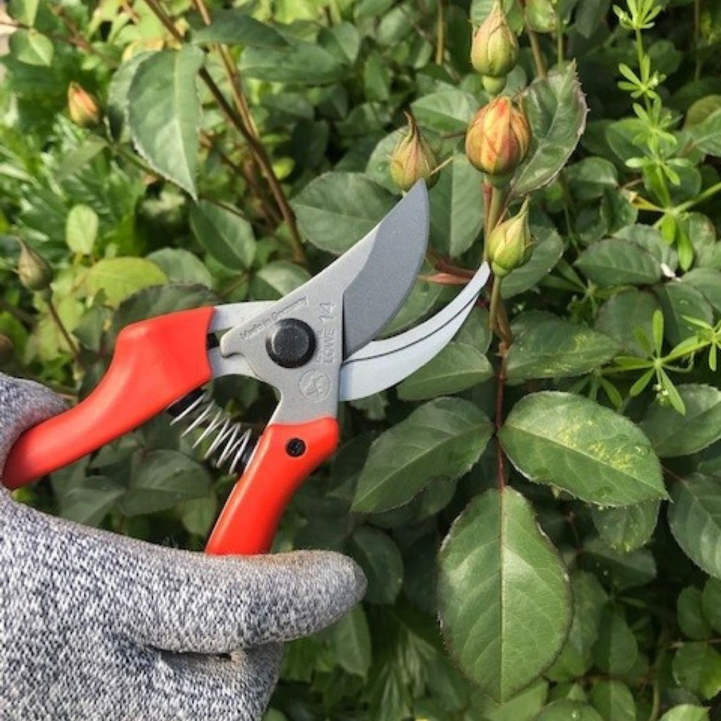 Compact Bypass Pruner - Small