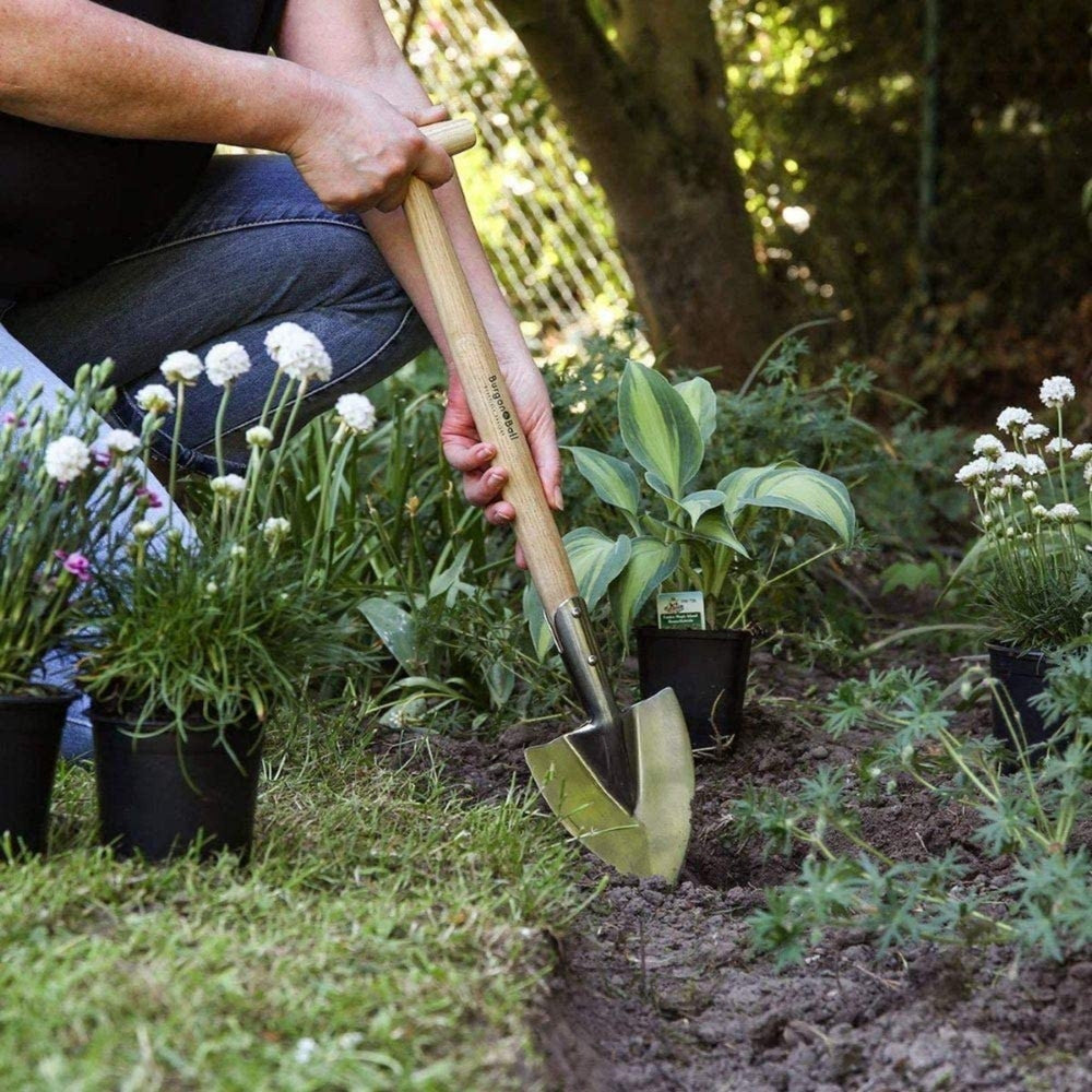 Stainless Steel Perennial Spade from Burgon & Ball