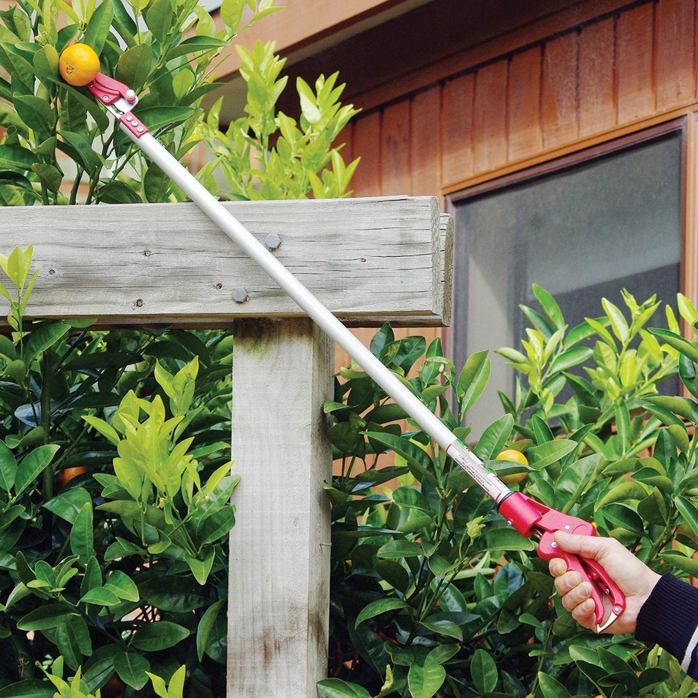 Ext. Cut & Hold Picker (1.8m To 3m) - Large Item