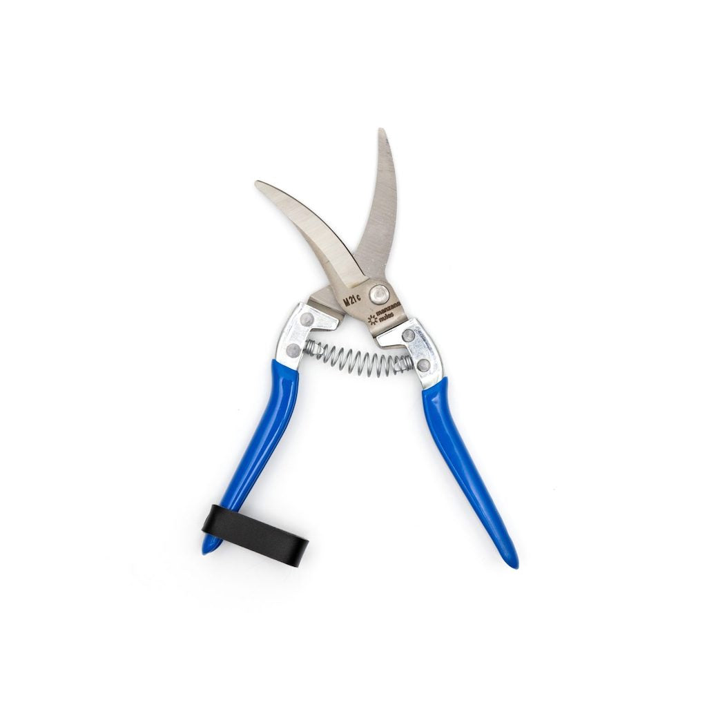 Manzana M21C Garlic Harvesting Shears with blue, non-slip handles.
