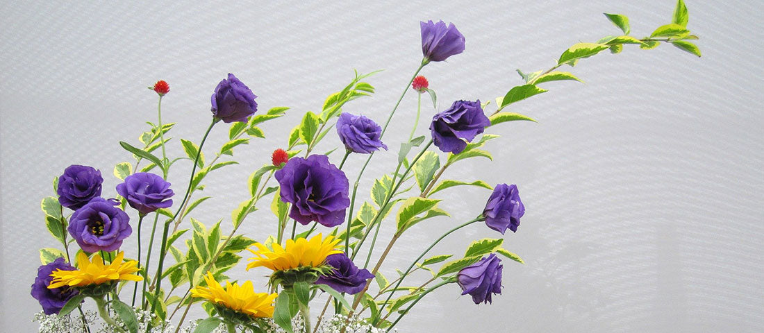 Japanese Flower Arranging Bowl, from Burgon & Ball
