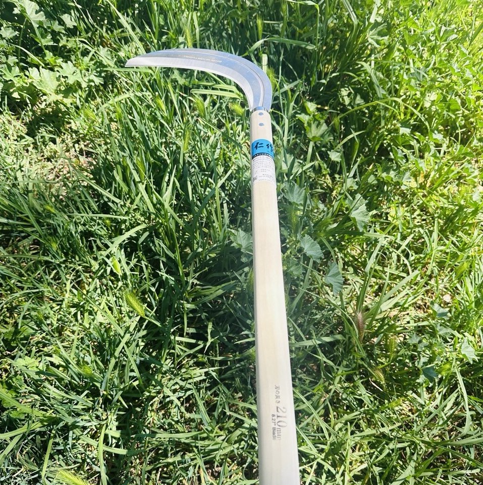Long handled grass scythe with curved stainless steel blade and wooden handle.