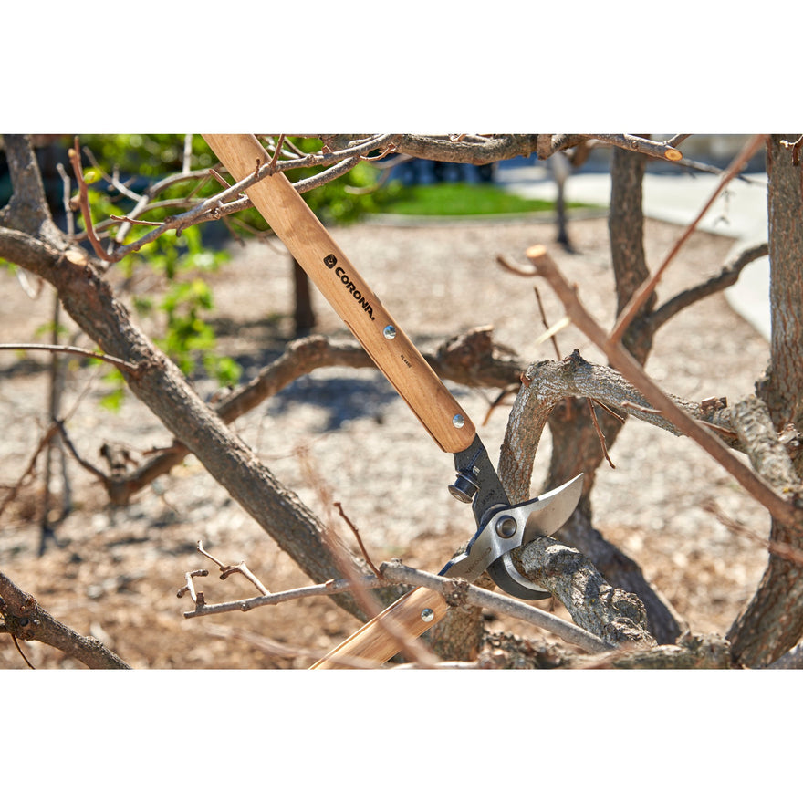 Corona 32 Inch Wooden Hardwood Lopper