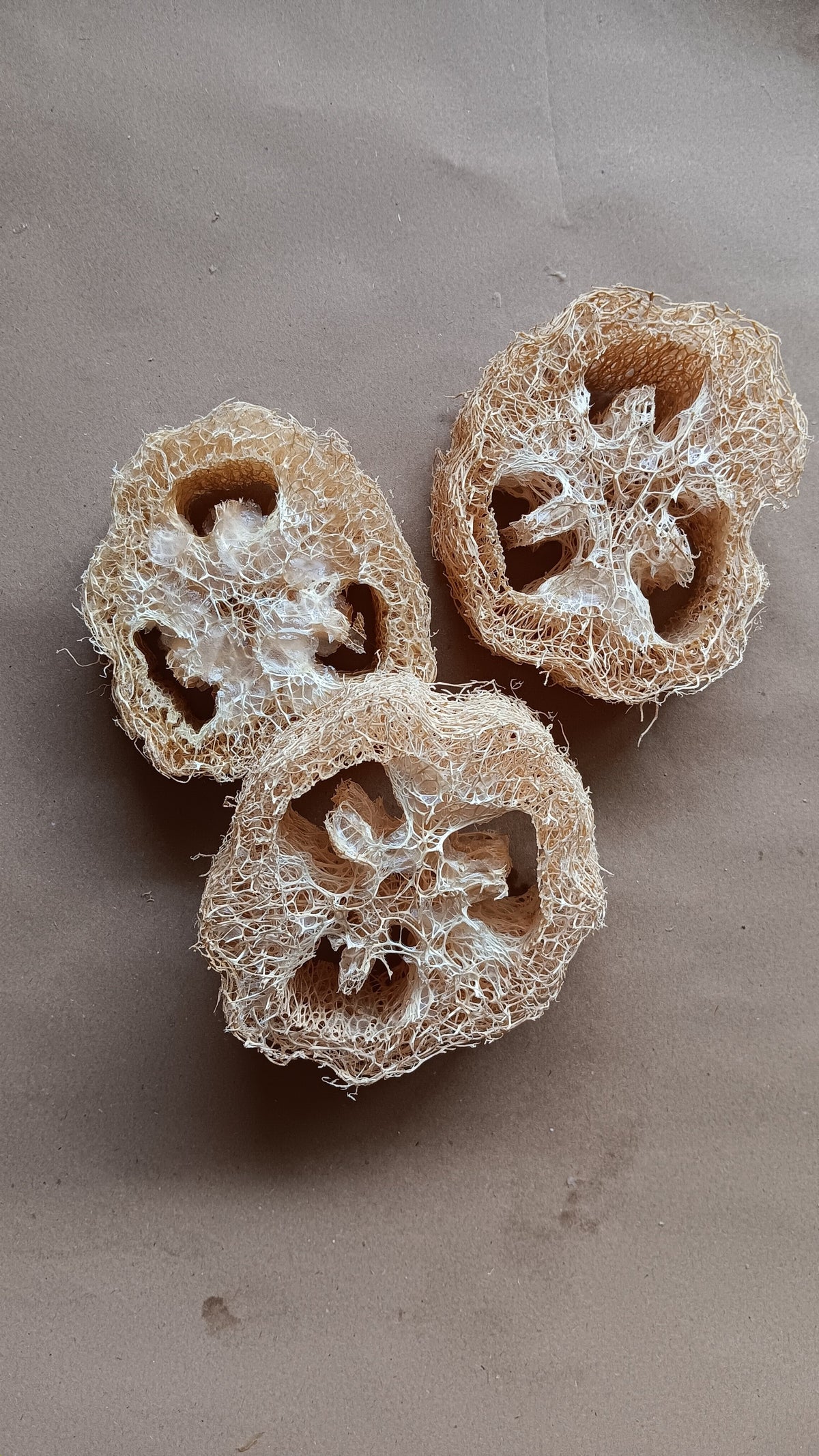 Cleopatra Loofah by Eco Max
