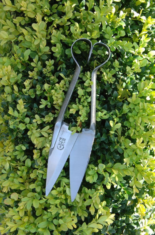 Topiary and Trimming Shears (Large), by Burgon &Ball