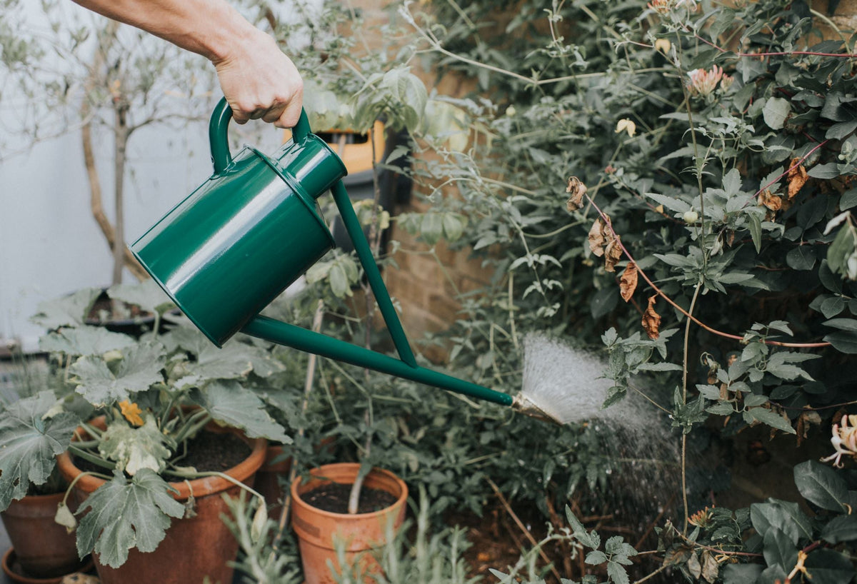 4.5L Haws Metal Original Watering Can - “The Warley Fall”