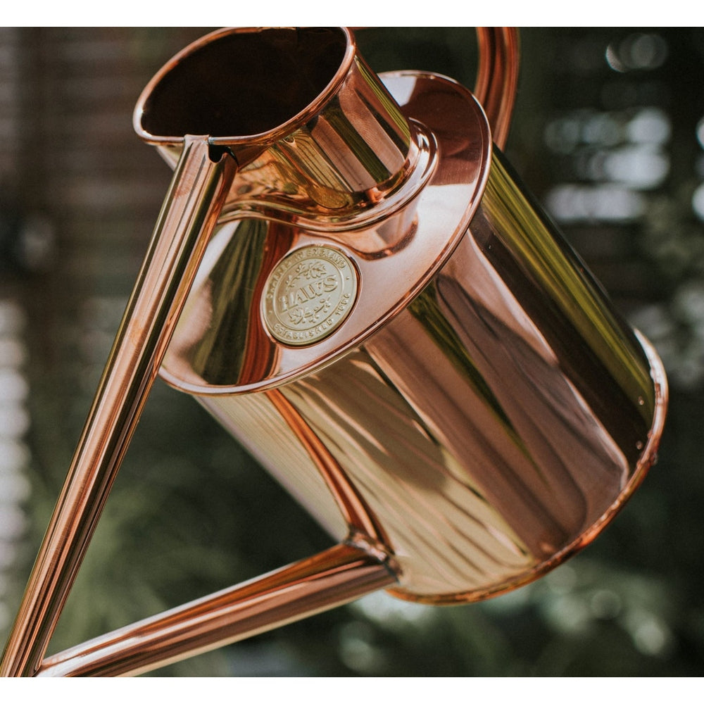 The Rowley Ripple 1L Watering Can in Copper, from Haws
