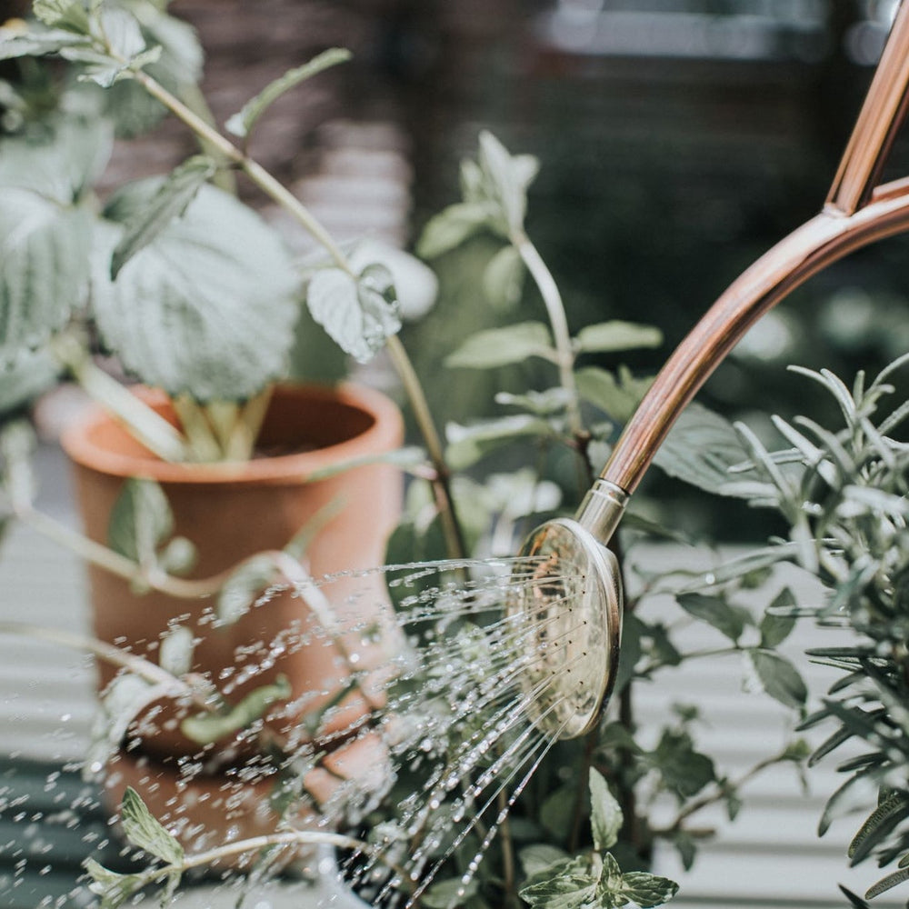 The Rowley Ripple 1L Watering Can in Copper, from Haws