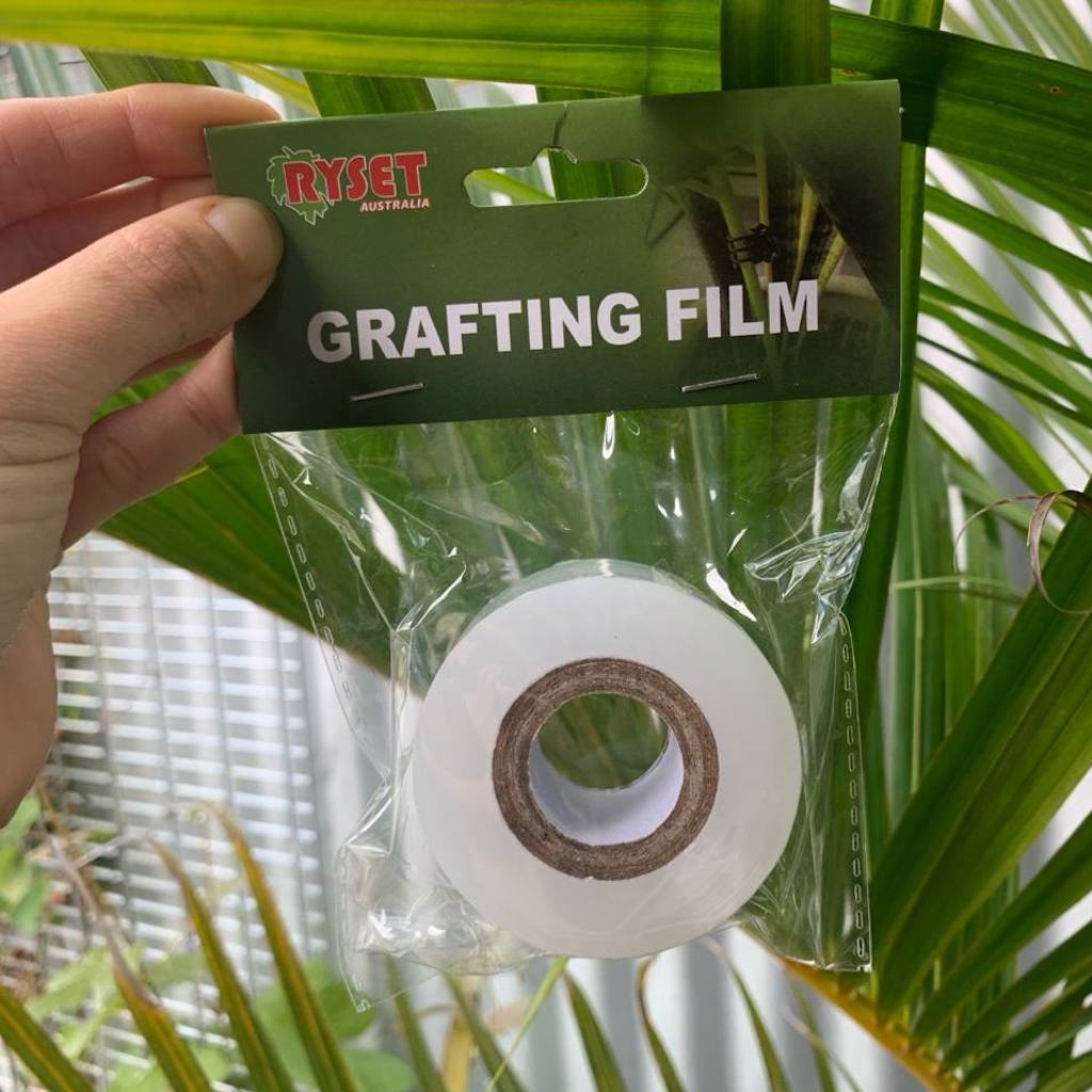 Transparent grafting tape inside packaging that reads 'Grafting Film' with the Ryset Australia logo.