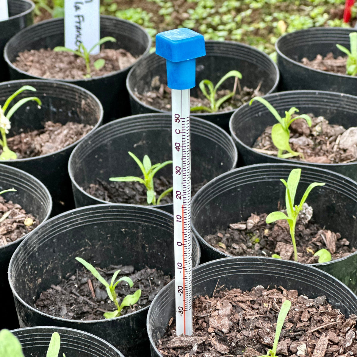Propagation Thermometer