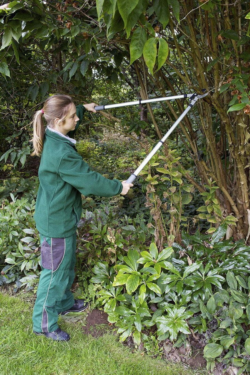 RHS Telescopic Ratchet Lopper