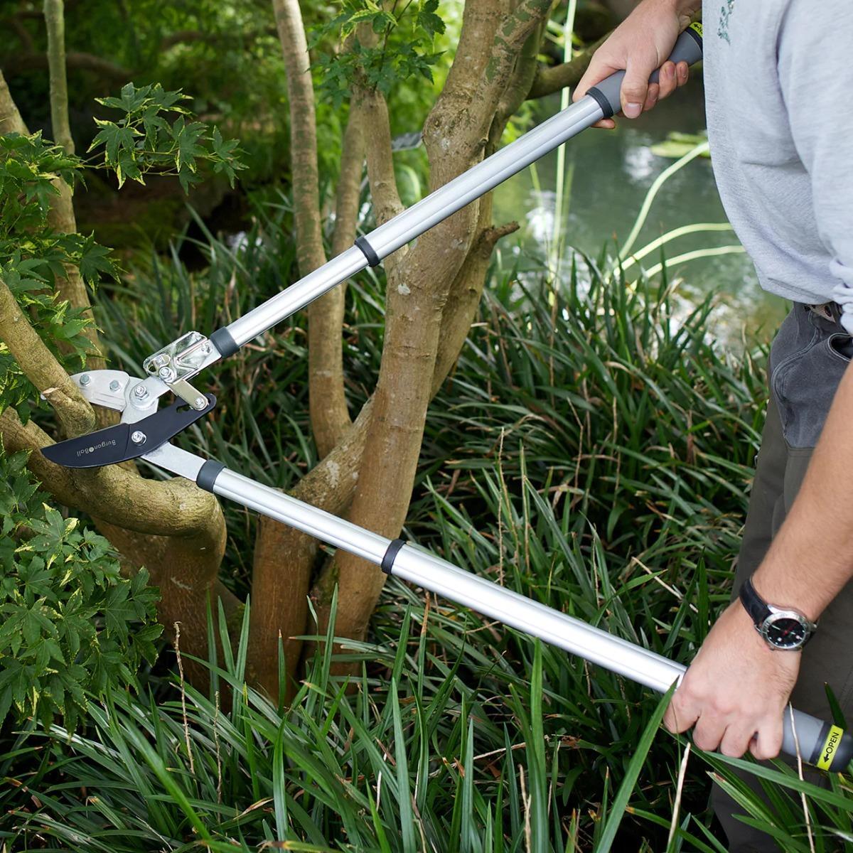 RHS Telescopic Ratchet Lopper