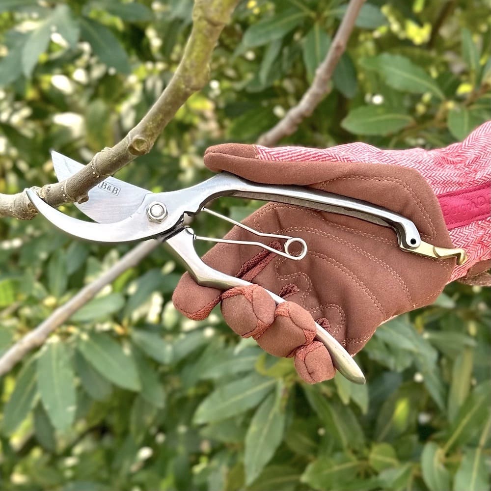Sophie Conran - Secateurs (Gift Boxed)
