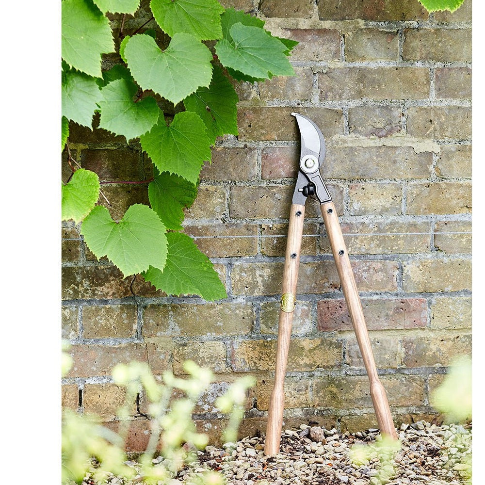 Sophie Conran - Lopper