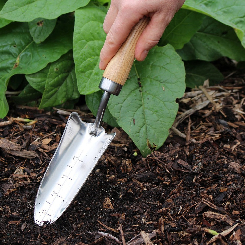 Stainless Steel Transplanter Trowel