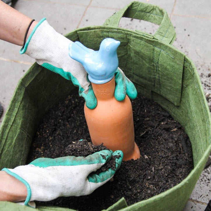 The Bird Waterpot Olla - 1L