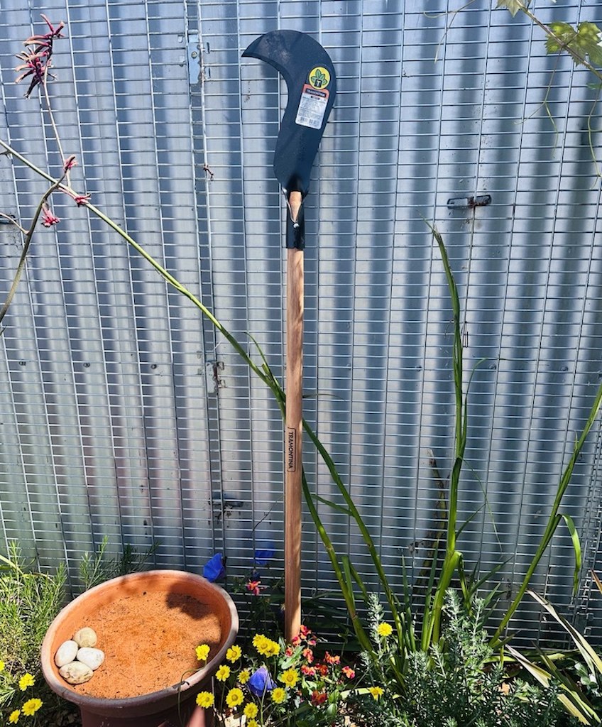 Long handled sickle with carbon steel bill hook blade leaning against fence in a garden.
