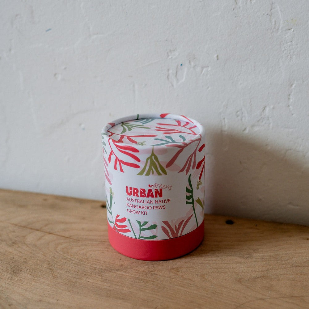 Urban Greens Australian Native Grow Kit - Kangaroo Paws