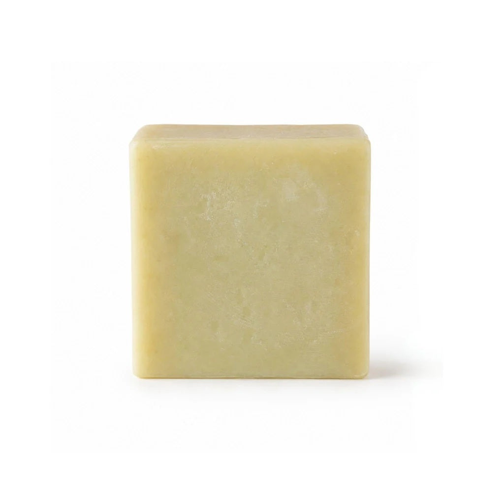 Viva La Body Solid Conditioner Bars
