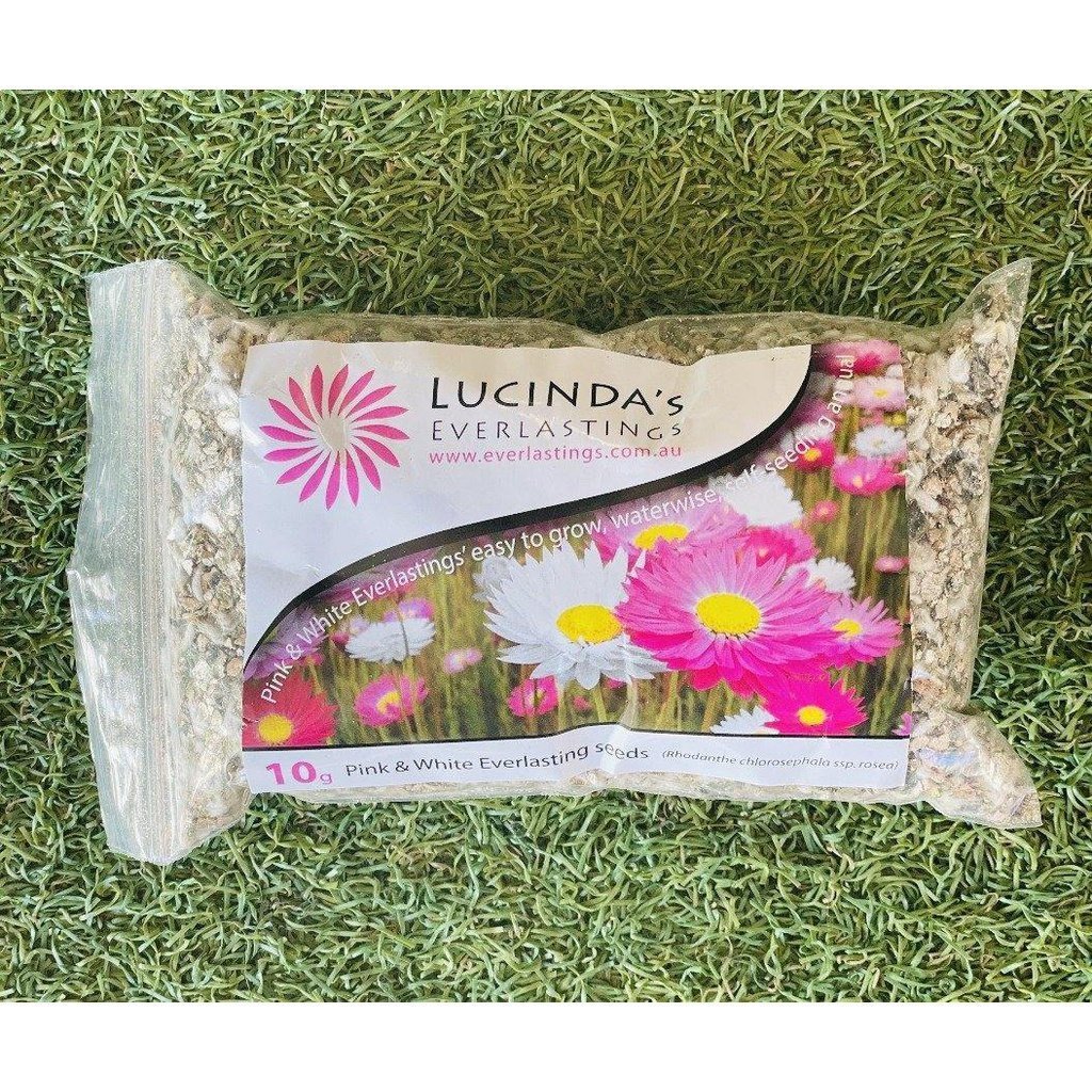 Lucinda&#39;s Everlastings - Wildflower Seeds - Urban Revolution