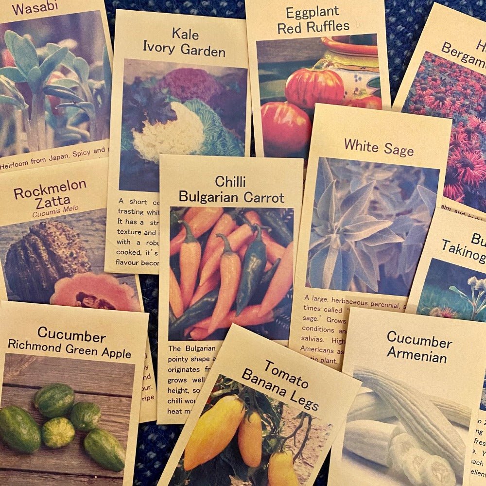 Seed Station Open Pollinated Heirloom Seed Packets