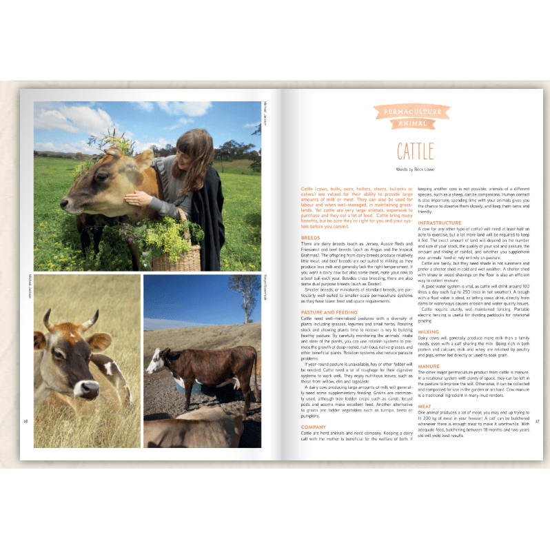 Pip Magazine - Issue 11 - The Cow Issue